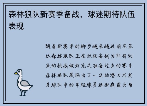 森林狼队新赛季备战，球迷期待队伍表现