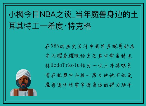 小枫今日NBA之谈_当年魔兽身边的土耳其特工—希度·特克格