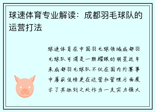 球速体育专业解读：成都羽毛球队的运营打法